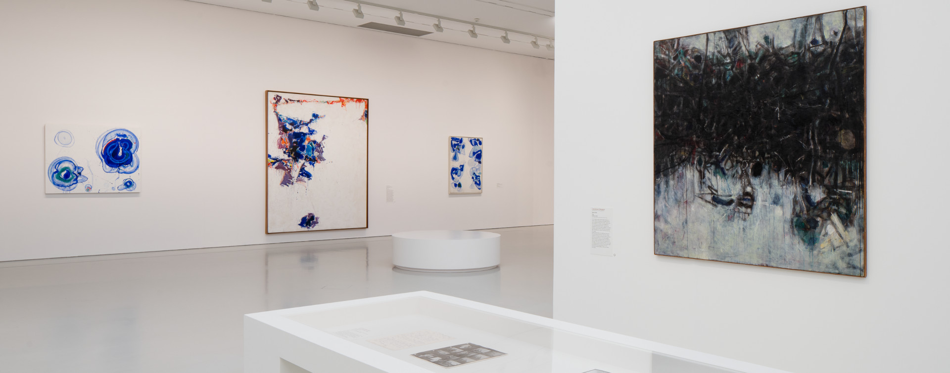 United States of Abstraction : Artistes américains en France (1946-1964)